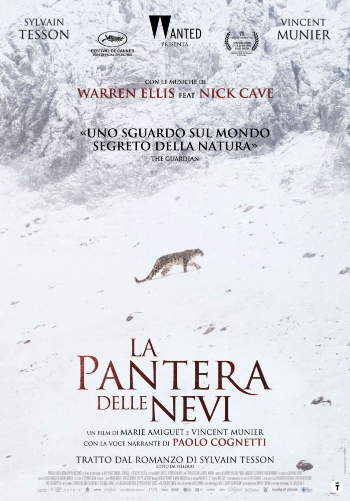 Il 4 ottobre a Milano con Paolo Cognetti “LA PANTERA DELLE NEVI”, il film filosofico girato nel Tibet con il fotografo naturalista Vincent Munier e il romanziere Sylvain Tesson 